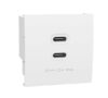 Módulos 45×45 con doble cargador USB C